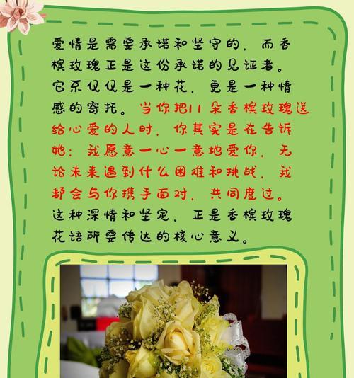 四十七朵玫瑰花语有何特殊意义？