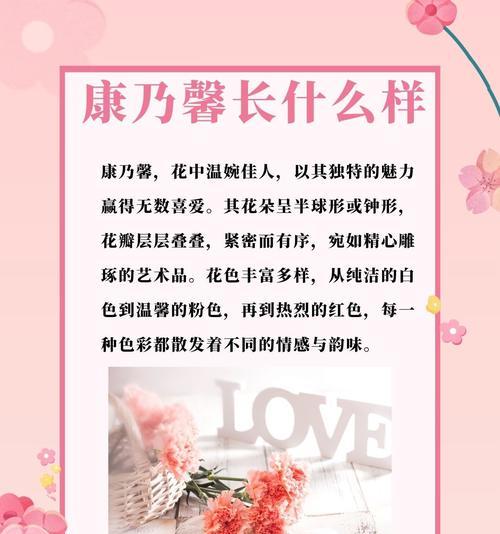 19朵康乃馨传递了怎样的信息？