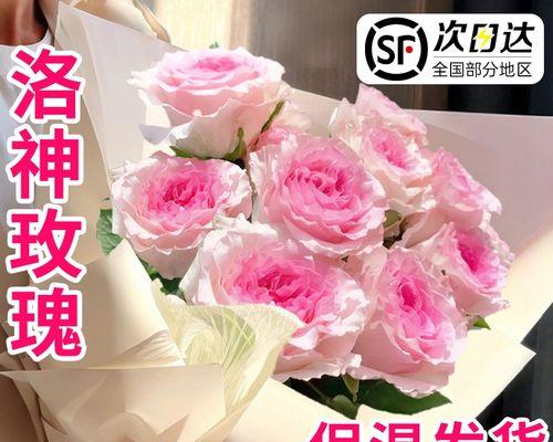 哪种红玫瑰的花期最长？