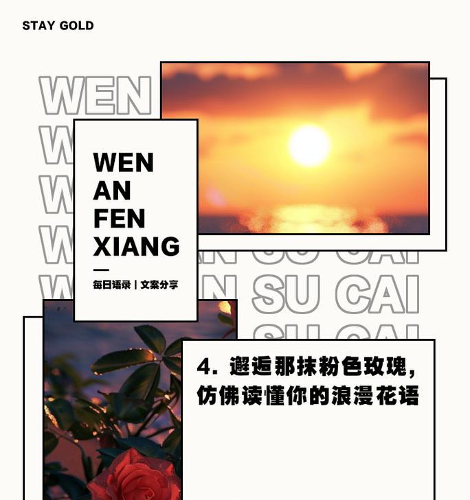 仙女粉玫瑰代表的花语有哪些？