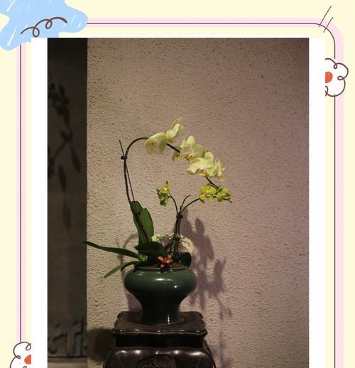 蝴蝶蓝的花语是什么？它有什么特别的寓意吗？