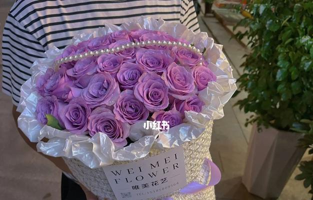 塑料玫瑰花紫色品种是什么？如何辨认？