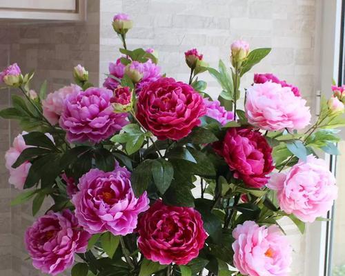 牡丹花枝假花的养护方法是什么？如何管理才能保持美观？