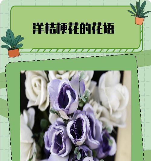 永恒幸福花语表达了什么情感？它象征着什么？