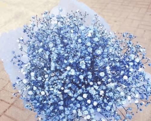 乐高玩具的花语和寓意是什么？