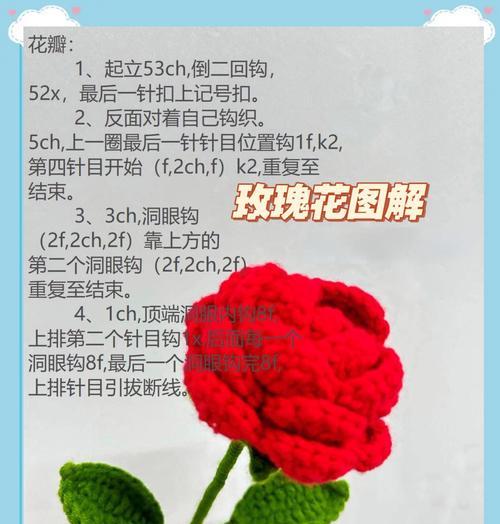 玫瑰花晾干花瓣的方法？如何保持花瓣颜色？