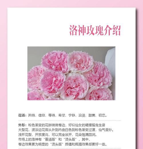 哪种花的花语代表着初恋？