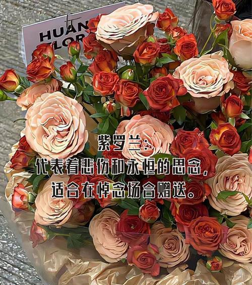 愚人玫瑰的花语有何特别之处？它象征着什么？