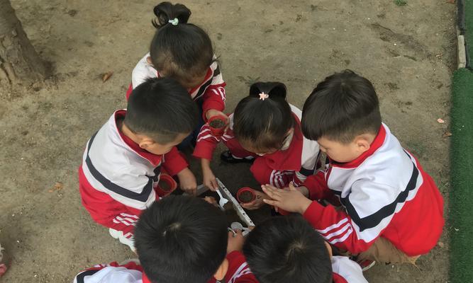 磁力菇仙人掌的种植步骤是什么？