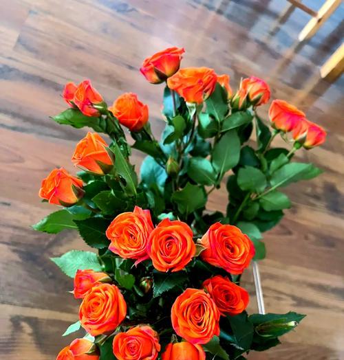 芭比花的寓意和花语是什么？