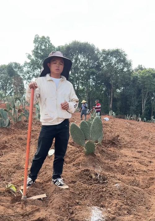 千佛手仙人掌的种植方法是什么？