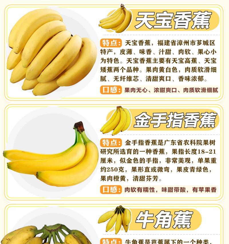 香蕉象征着哪些积极的花语？