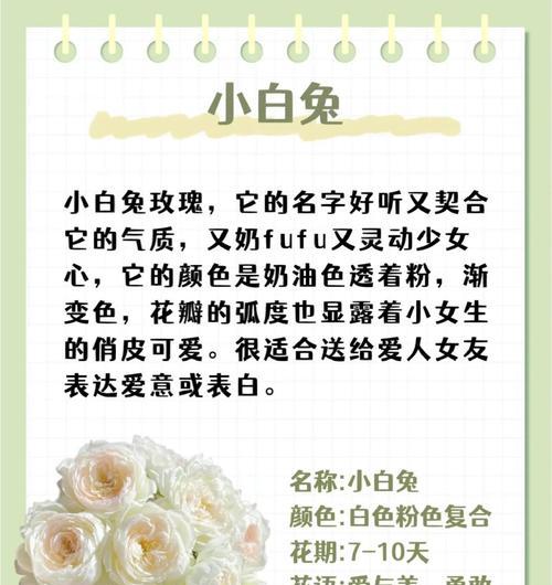 白玫瑰与荷花烟搭配的花语？