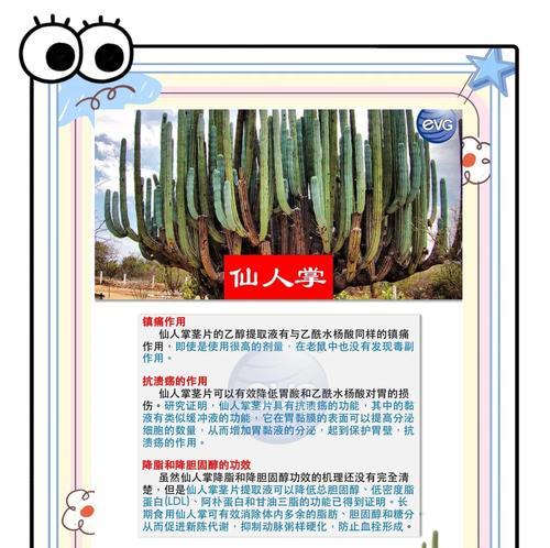 种植火花扇仙人掌需要注意什么？