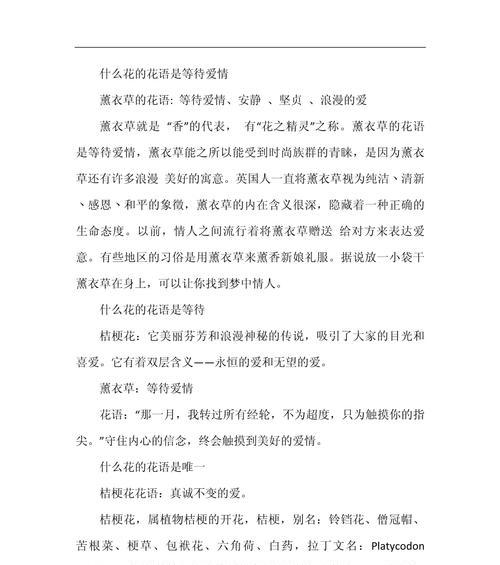 送男生什么花最合适？花语表达的含义是什么？