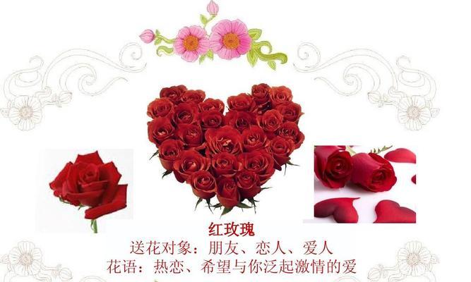外交场合的花语是什么呢？如何在外交中正确送花？