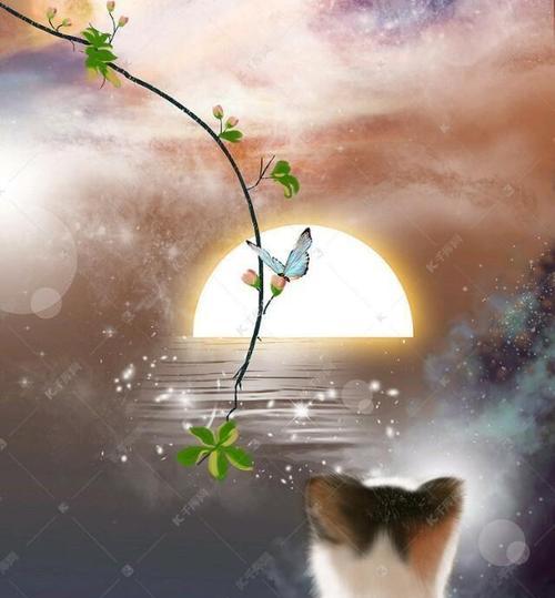 落日猫玫瑰花的养护方法是什么？如何保持其美丽？