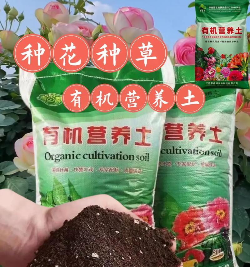玫瑰花栽培需要哪种营养土？