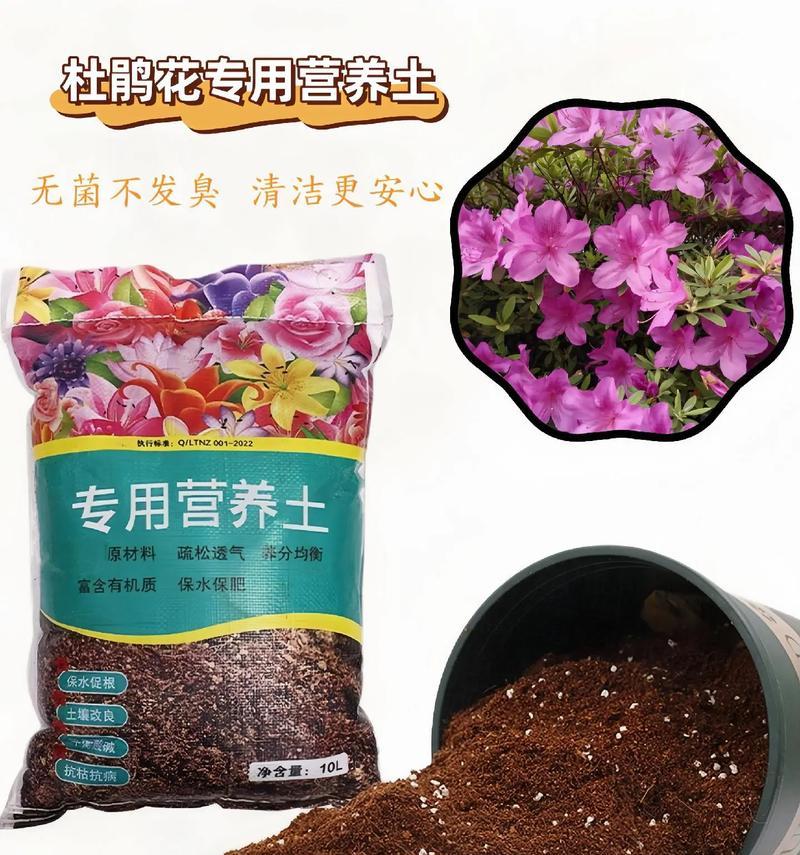 玫瑰花栽培需要哪种营养土？