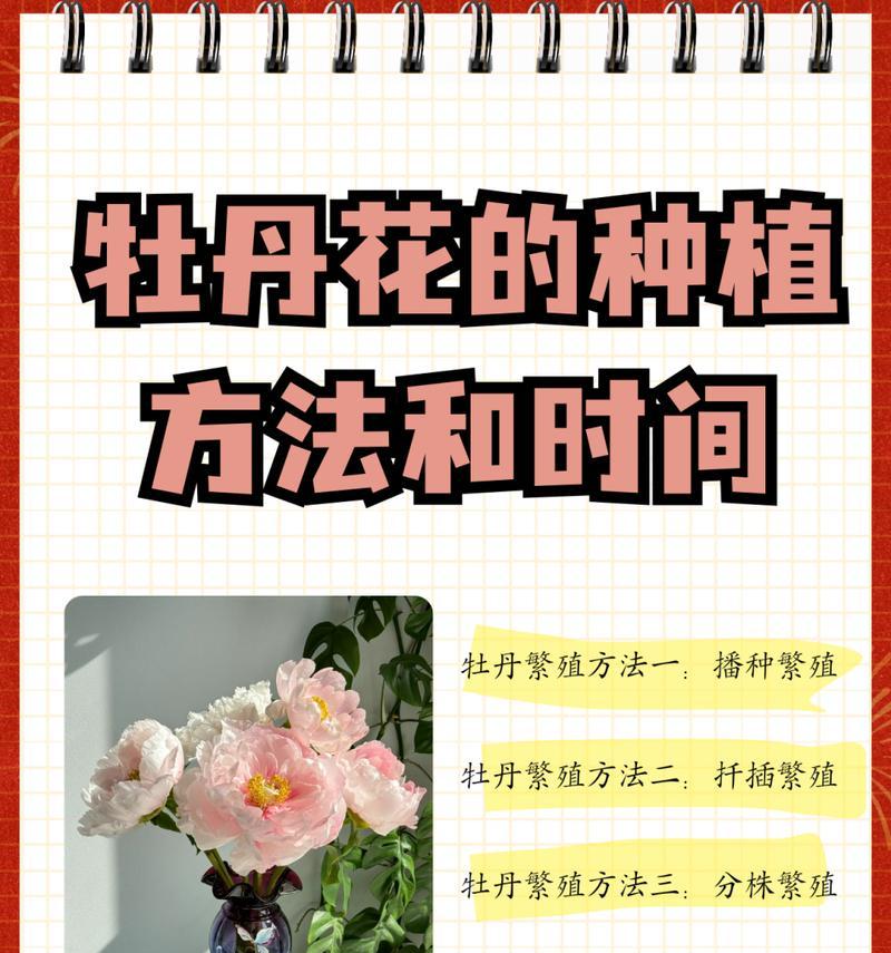 牡丹花底枝过多如何修剪？剪枝对牡丹花生长的影响是什么？