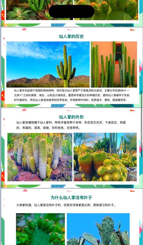 犀牛王仙人掌的养殖方法是什么？