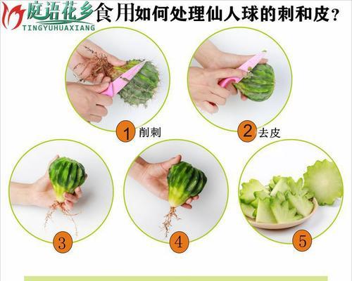 用开水去皮对仙人掌有伤害吗？去皮后如何正确养殖仙人掌？