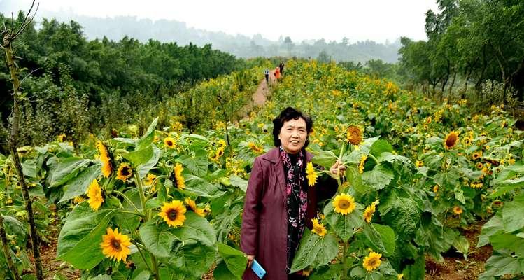 花语烂漫的含义和造句是什么？