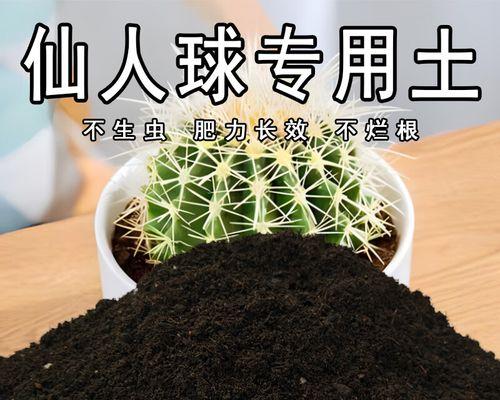 仙人球种植土壤的选择标准是什么？