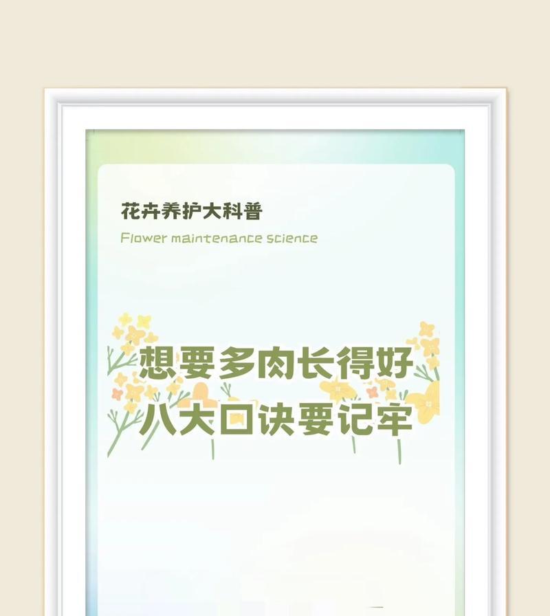 多肉植物的花语通常是什么？