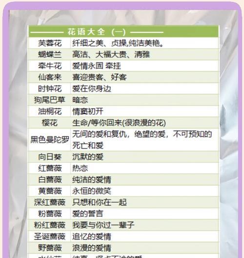 送花时如何写上既好听又简单的花语？