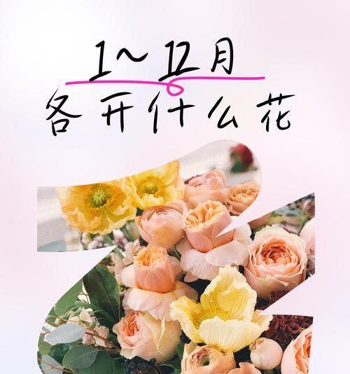 3月20日出生的人适合哪种花语？