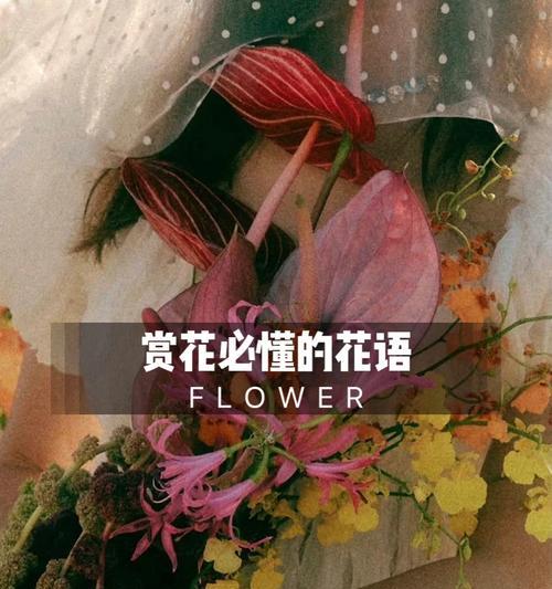 3月20日出生的人适合哪种花语？