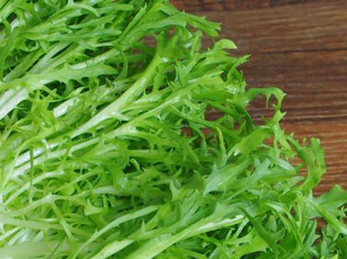 苦菊的花语是什么？苦菊代表了哪种情感或信息？