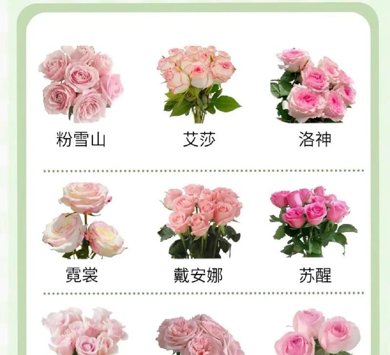 蓝色和粉色搭配的花语有何含义？