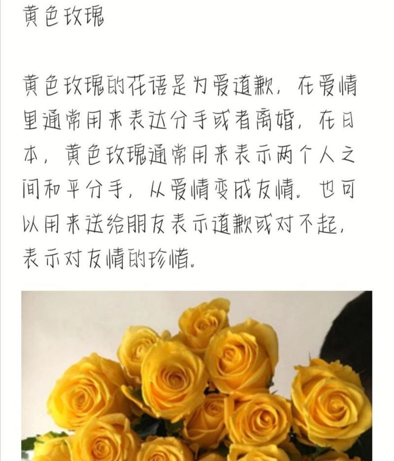 二朵红玫瑰花的花语是什么？