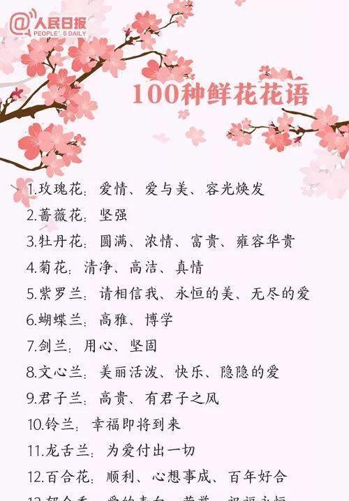 紫宛的花语含义是什么？如何用它来表达情感？