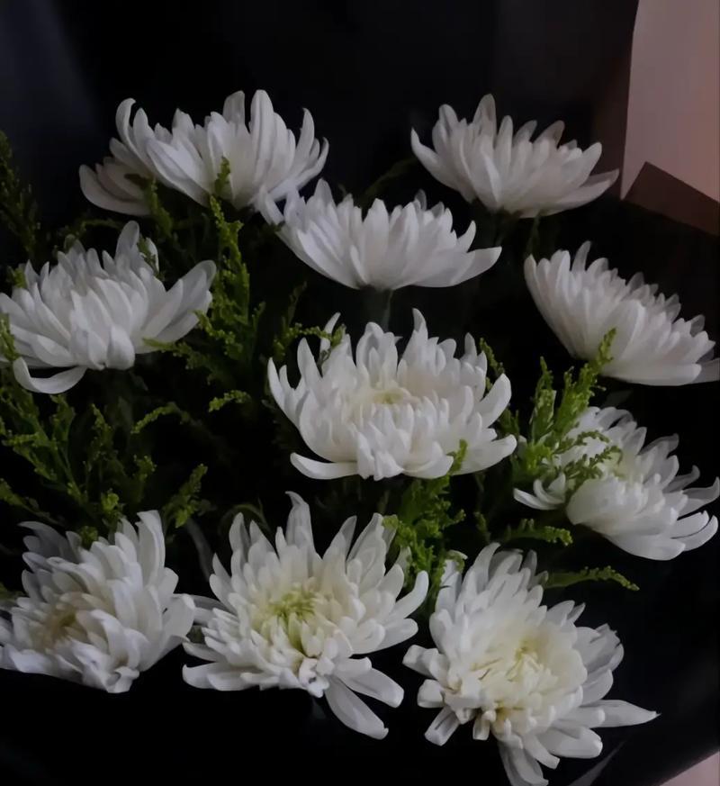 玉兰飘香的花语有哪些含义？