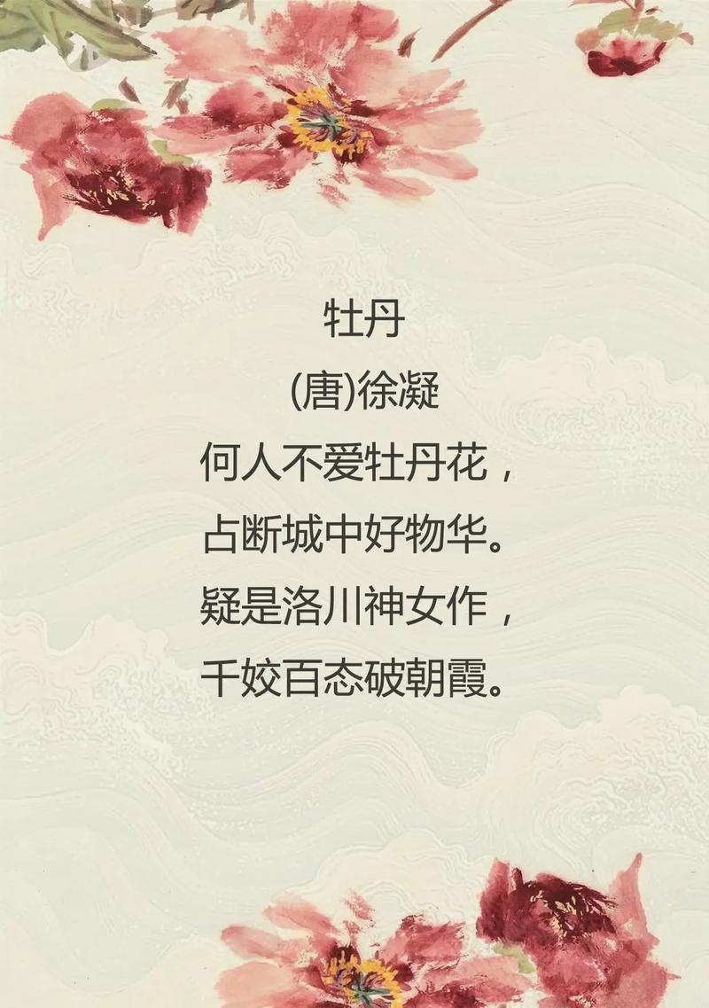 仙气牡丹的花语和寓意是什么？