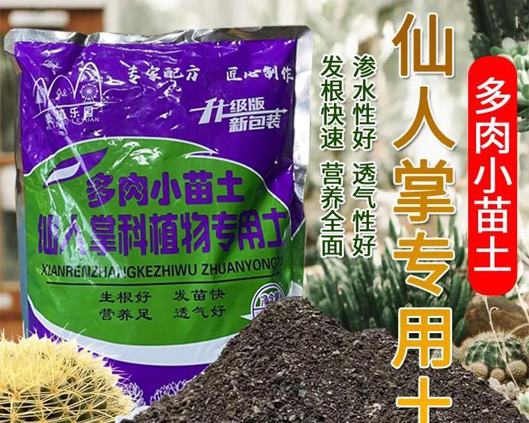 仙人球需要施肥吗？正确的施肥方法是什么？