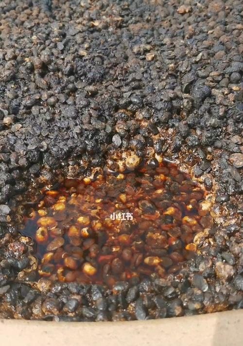 仙人掌中发黄豆的处理方法是什么？