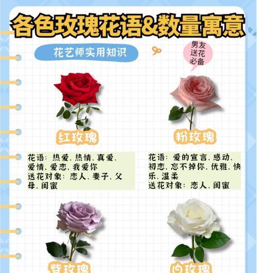 哪种花语最适合安抚闺蜜？