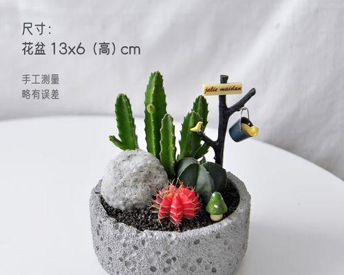 沙漠水桶仙人球的养殖难度如何？有哪些养殖技巧？