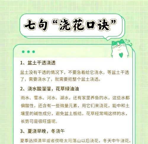 如何优雅地给玫瑰花浇水？有哪些技巧？