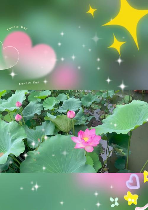 水出芙蓉象征着什么？