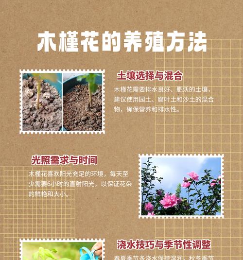 四季牡丹花的养护秘诀是什么？怎样确保四季都能良好生长？
