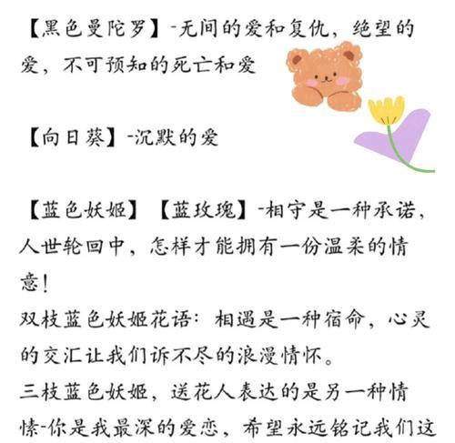 跨年时推荐哪种花及其花语？