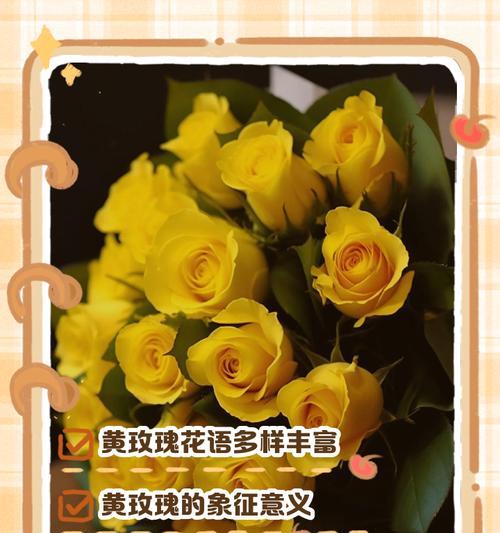 金属玫瑰花的花语是什么？它象征着什么？