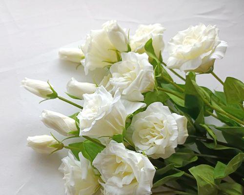 香槟玫瑰白桔梗的花语代表什么？
