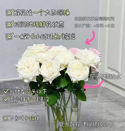 新秀丽玫瑰花的养护技巧有哪些？