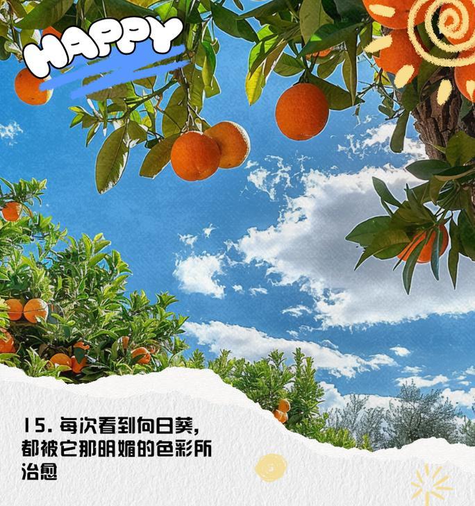 向日葵的花语有哪些？它对爸爸有何特别意义？